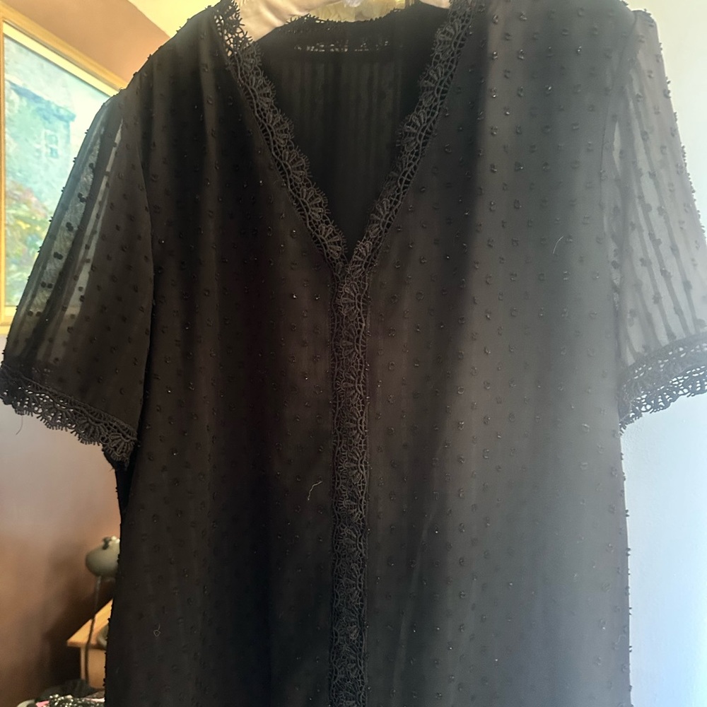 Black Lace Trim Swiss dot Blouse